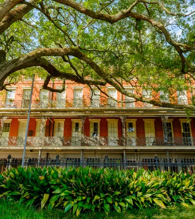 Historic red brick building with intricate iron balconies, large tree and lush green plants in foreground