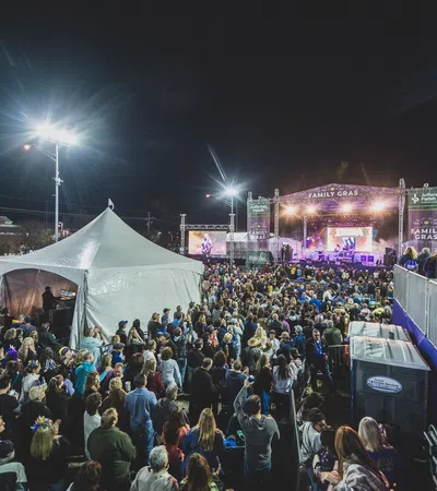 a crowd of people at a concert