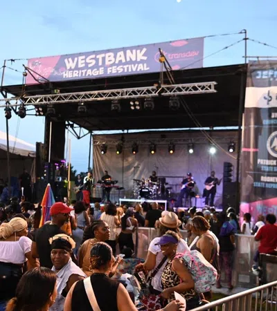 a crowd of people at a concert