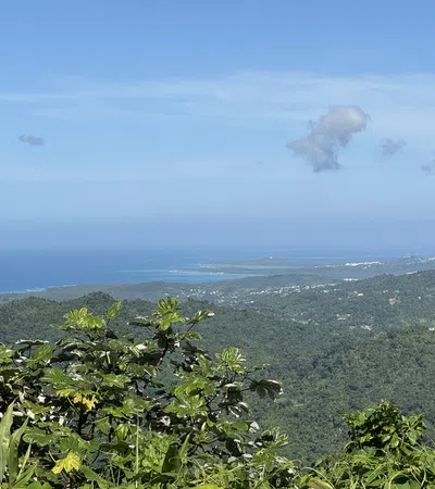 a view of a city from a hill