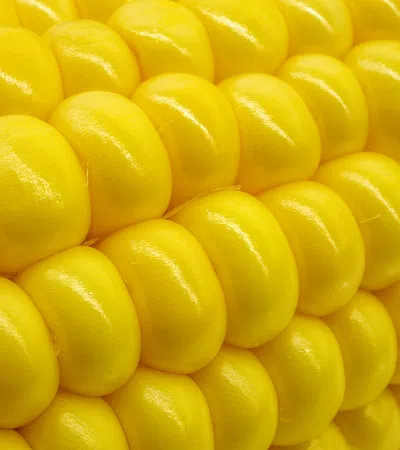 a pile of yellow lemons
