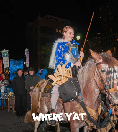 a person riding a horse
