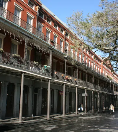 The NOLA Tour Guide OR Herding Cats