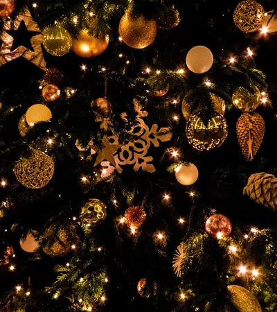 a tree with lights and ornaments