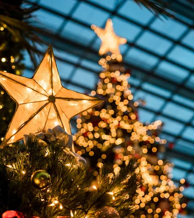 a christmas tree with a star