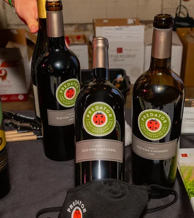 Display of multiple Predator Wines bottles, a branded mask, and promotional brochures on a table at a wine event.