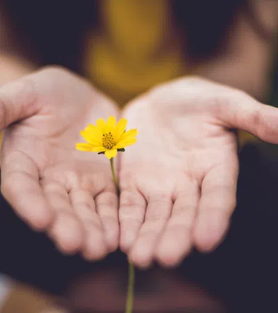 a person holding a yellow flower