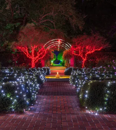Garden pathway lined with bushes wrapped in white lights and trees illuminated by red lights at night.