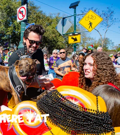 Krewe of Barkus with His Majesty, King JoJo Kravitz and Her Majesty, Queen Drift Torres with rolls through the French Quarter on Sunday Feb. 8, 2026 #kingjojokravitz #queendrifttorres #lennyktravitz #kreweofbarkus2026