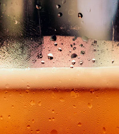 Boudin, Beer and Benefits, Oh My!