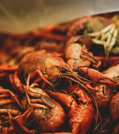 A close-up view of fresh, cooked crayfish piled together in a market setting.
