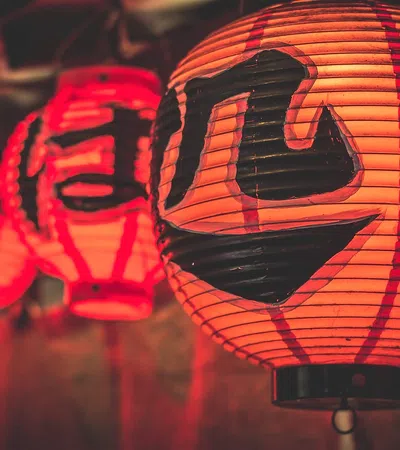 What is the Japan Society of New Orleans and What Does it Do?