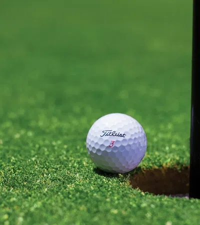 a golf ball on the grass