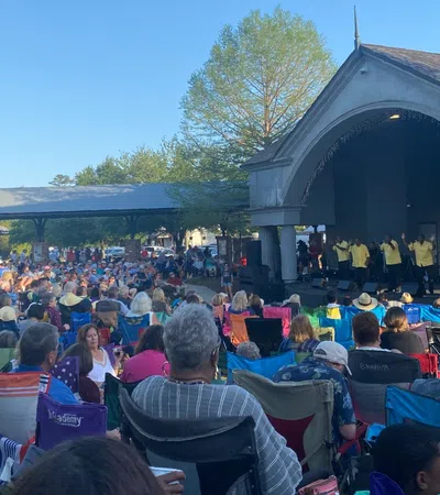 a large crowd of people at a concert