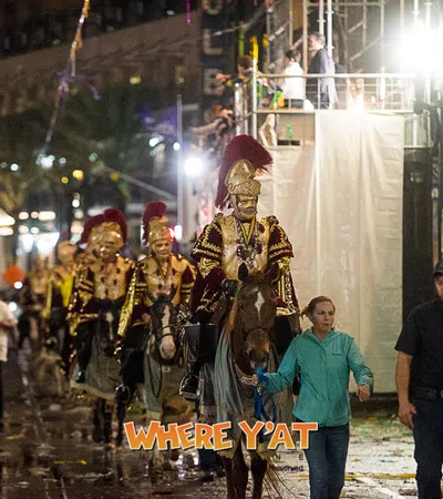 The Krewe of Bacchus 2018