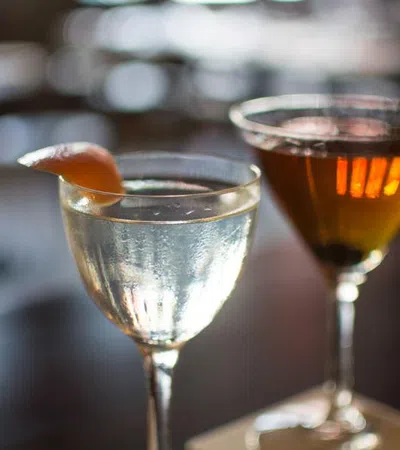 Two elegant cocktails on a bar counter, one clear with a citrus garnish and one amber-colored.