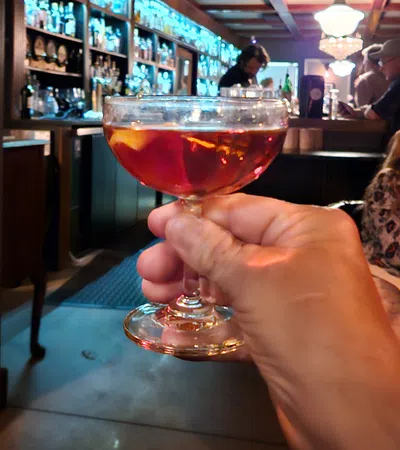 a person holding a glass of wine