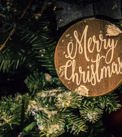 a gold and brown sign on a tree