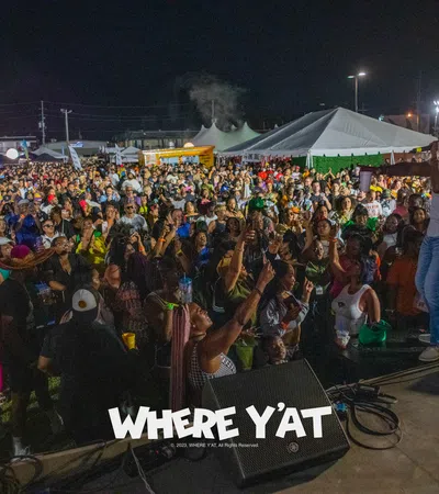 a person on a stage with a crowd watching