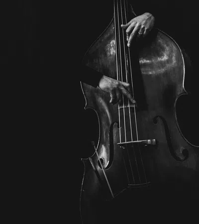 a person playing a cello