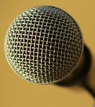 a black and silver microphone
