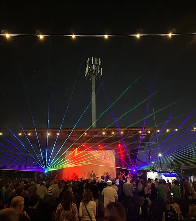 a crowd of people at a concert