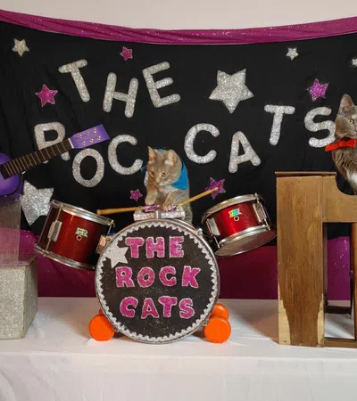 a group of cats playing instruments
