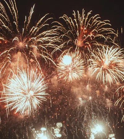 fireworks in the sky
