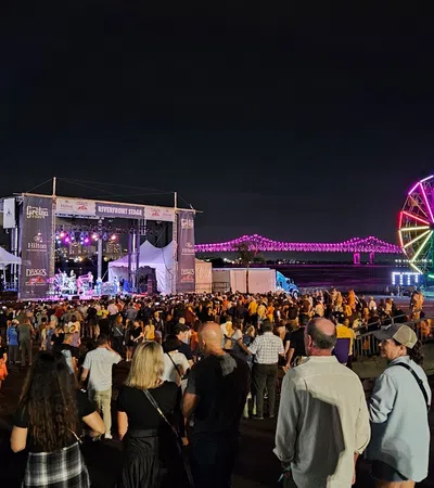 a crowd of people at a concert