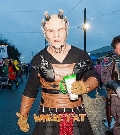 The Intergalactic Krewe of Chewbacchus