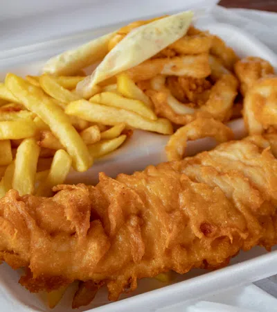 a plate of fried food
