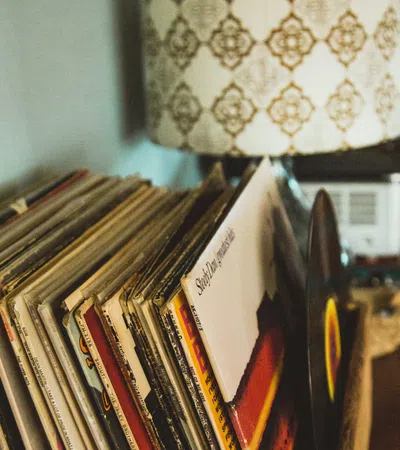 a shelf with books and a cat