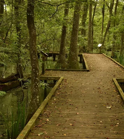 Baton Rouge is Greener Than You’d Think: Nature Sights to Visit in LA’s Capital Area