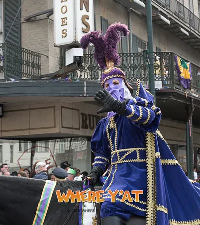 Mardi Gras Revelers and Costumes