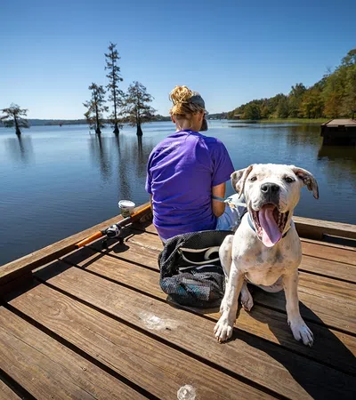 a person and a dog on a dock by a lake