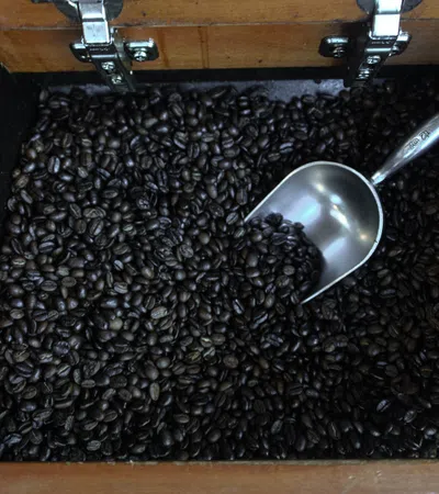 Why Is There Chicory in My Coffee?: The History of a Local Favorite