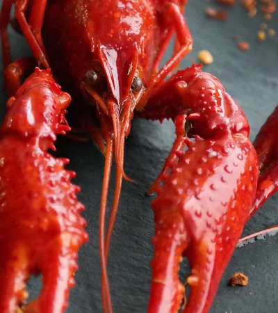 WIN A FREE CRAWFISH BOIL FROM COORS LIGHT!