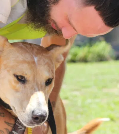 Man in yellow vest hugging a brown dog outdoors on a sunny day in a grassy area.