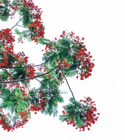 Arts District New Orleans Announces ?Holiday Cheers? Art Walk