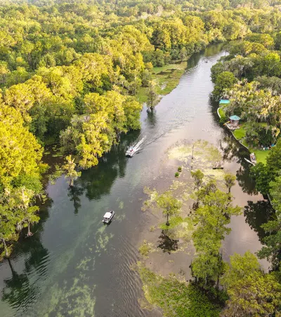 Floating Floats for Mardi Gras 2021