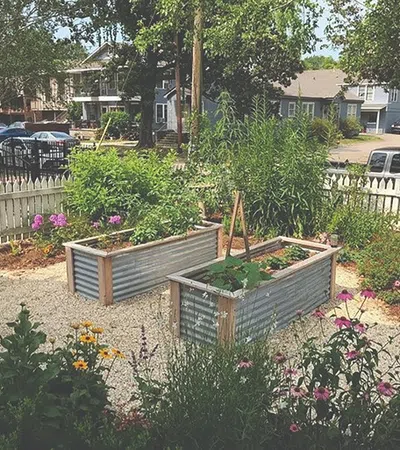 a garden with a bench and a fence