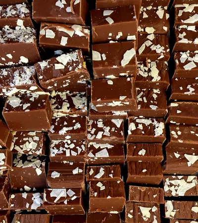 Close-up of bite-sized chocolate cubes topped with white flakes arranged in rows.
