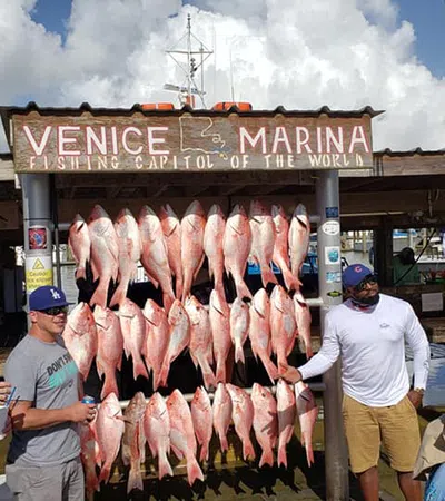 Fish Are Jumping