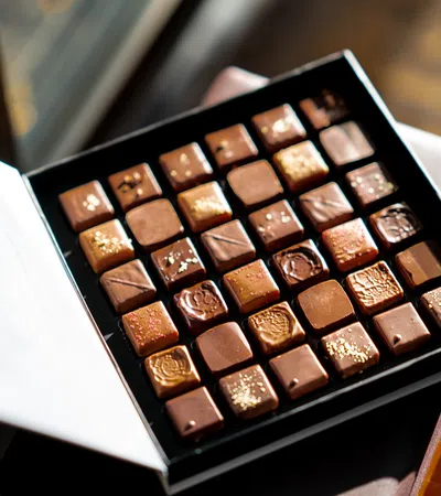 a chocolate bar in a box