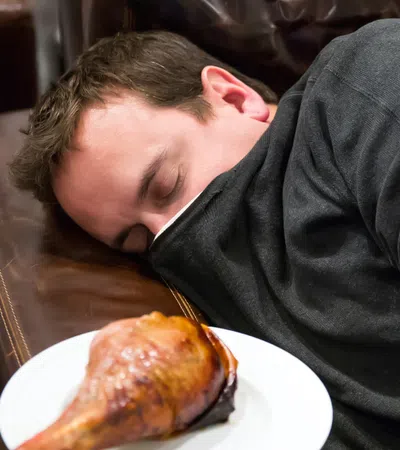 The Anatomy of a Turkey Nap