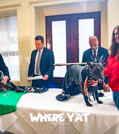 The Mystic Krewe of Barkus King and Queen Feast at Galatoire’s. His Majesty, King JoJo Kravitz and Her Majesty, Queen Drift Torres with traditional Friday lunch at the historic Galatoire’s Restaurant, Friday, Feb. 6, 2026 #kingjojokravitz #queendrifttorres #lennykravitz #lambchops