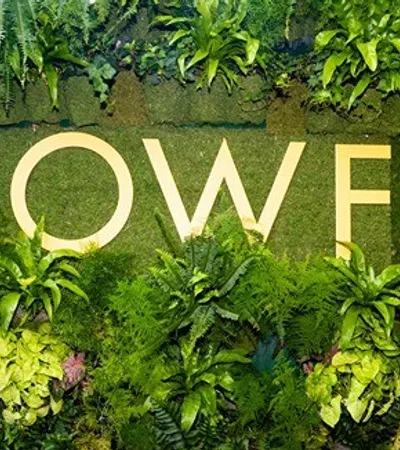 a close-up of some plants