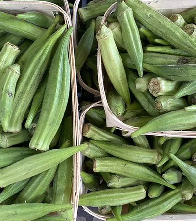 a close up of many different vegetables on display