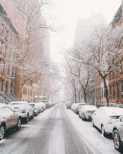Snow-covered cars and bare trees line a city street with brownstone buildings in winter daylight.