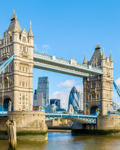 a bridge with towers over water